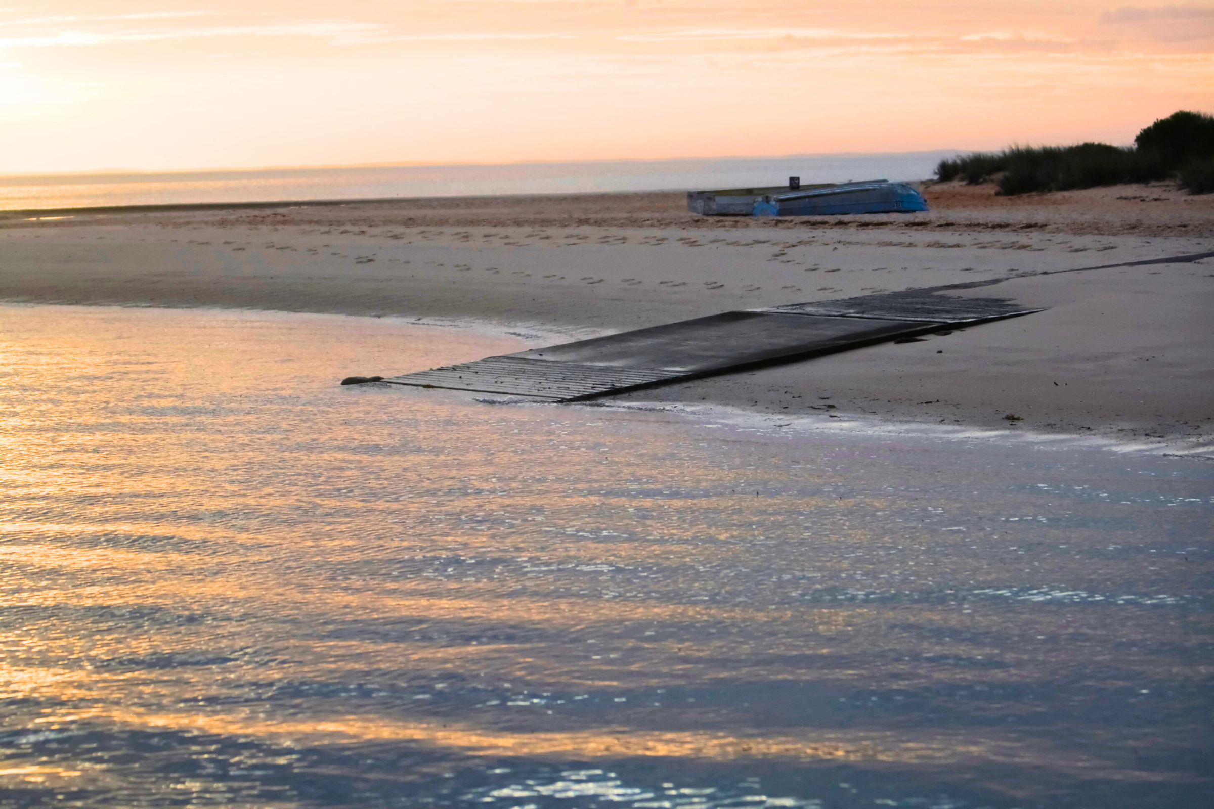 monkey mia, western australia (2).webp